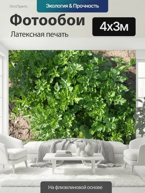 400 × 300 см · Латексная печать