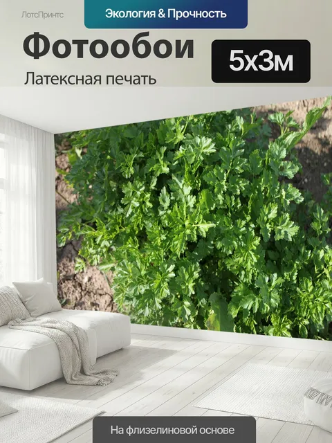 500 × 300 см · Латексная печать