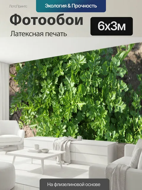 600 × 300 см · Латексная печать