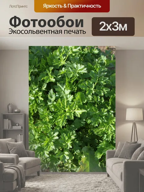 200 × 300 см · Экосольвентная печать