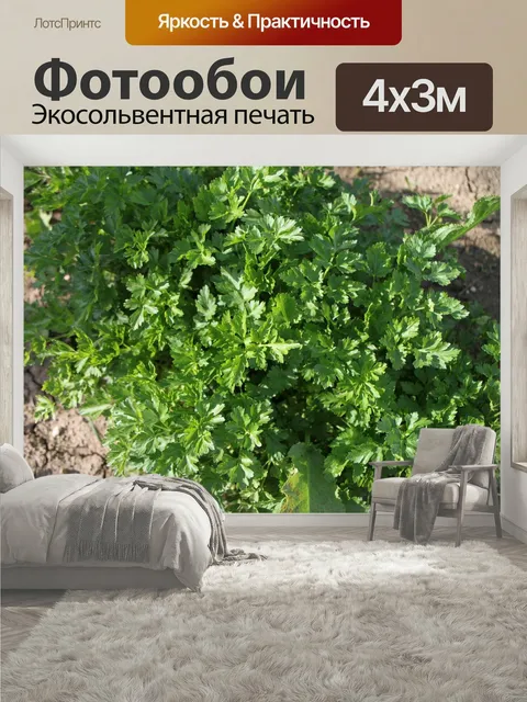 400 × 300 см · Экосольвентная печать