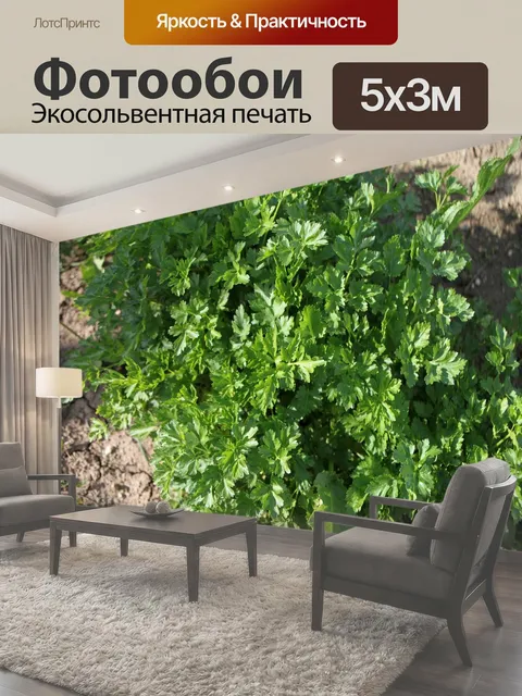 Фотообои Петрушка, травы, зеленый