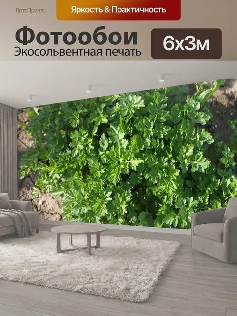 600 × 300 см · Экосольвентная печать
