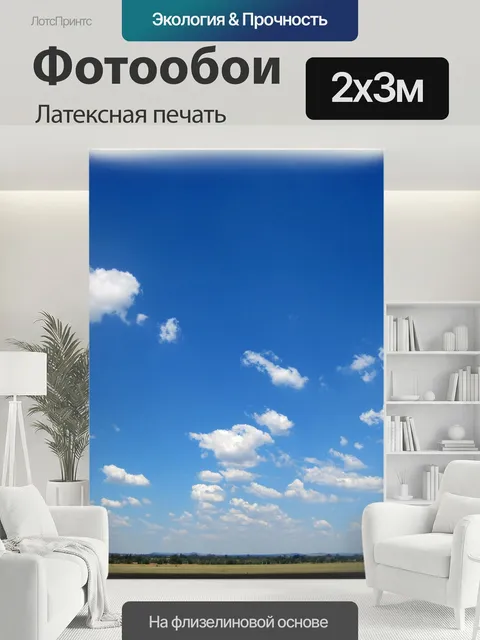 200 × 300 см · Латексная печать