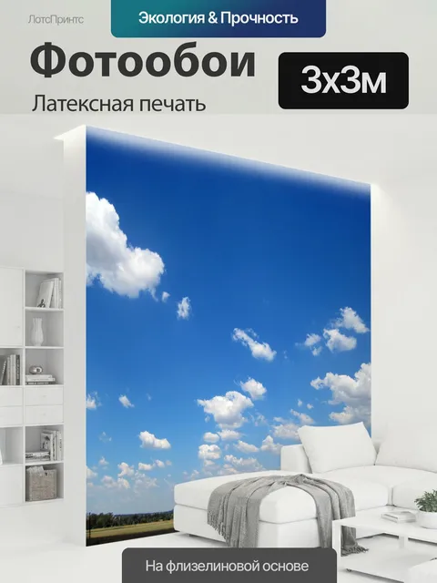 300 × 300 см · Латексная печать