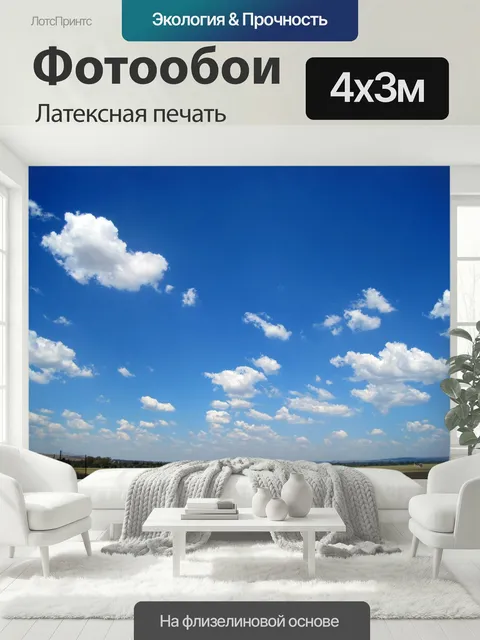 400 × 300 см · Латексная печать