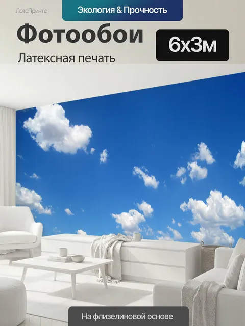 600 × 300 см · Латексная печать