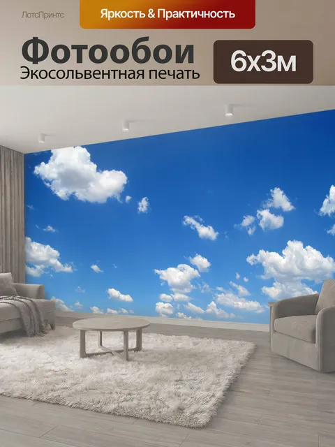 600 × 300 см · Экосольвентная печать