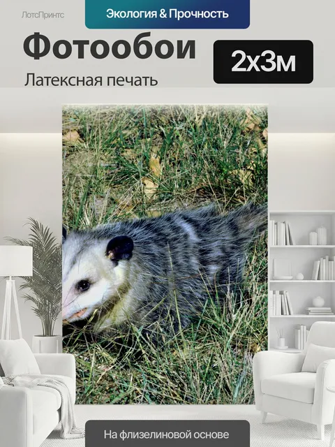 200 × 300 см · Латексная печать