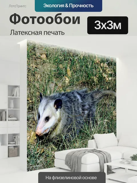 300 × 300 см · Латексная печать