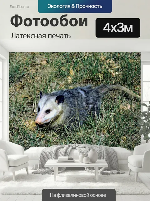 400 × 300 см · Латексная печать