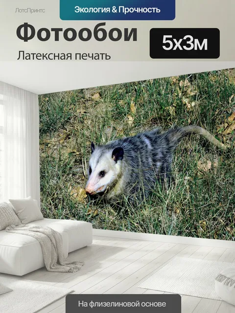 500 × 300 см · Латексная печать