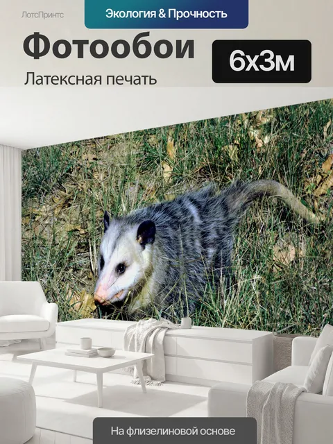 600 × 300 см · Латексная печать