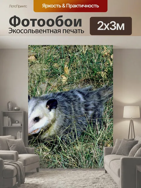 200 × 300 см · Экосольвентная печать