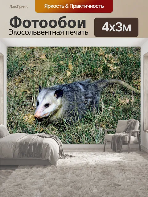 400 × 300 см · Экосольвентная печать
