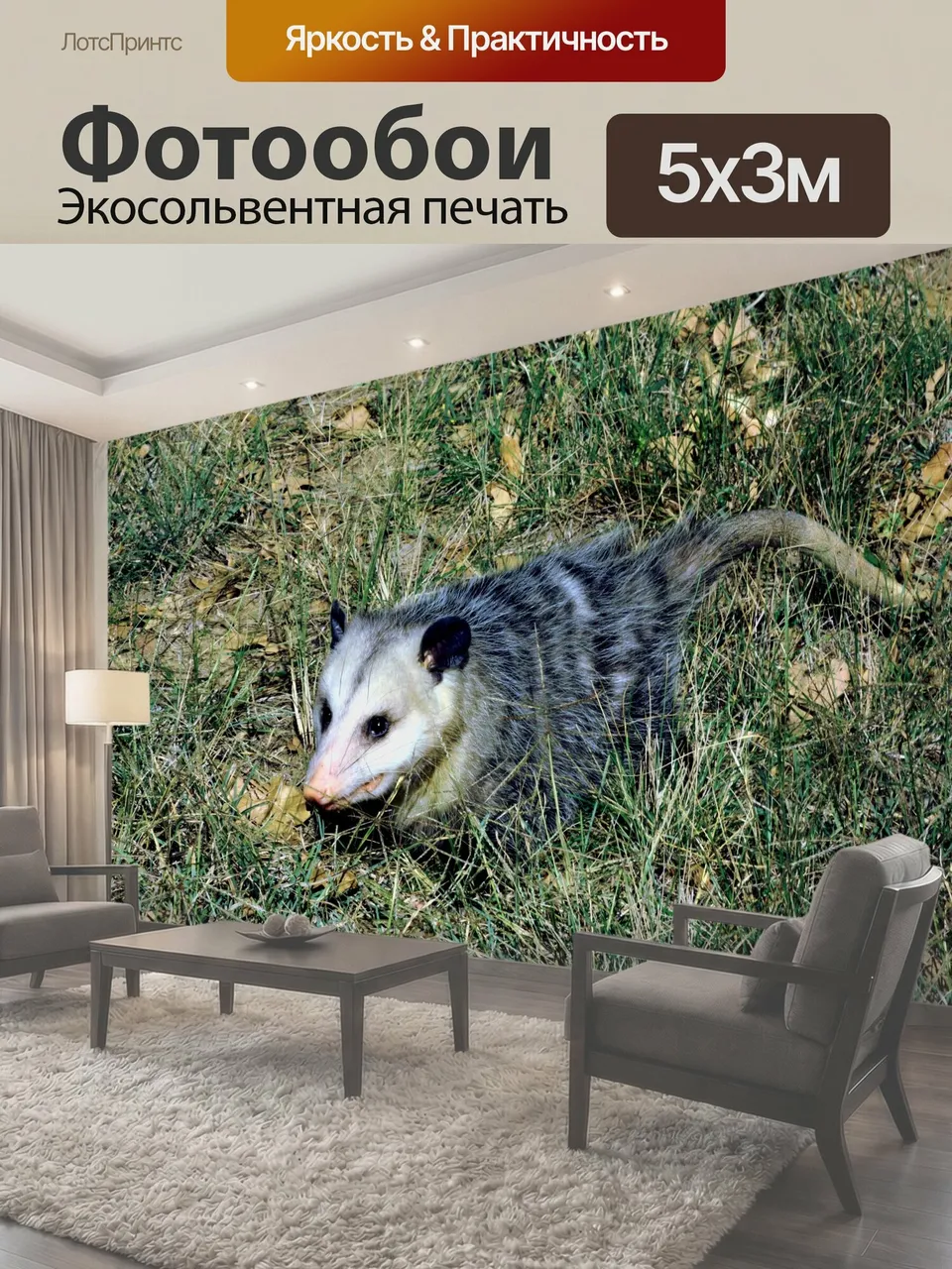 Фотообои Опоссум на земле Опосом, иногда просто называемый опоссум, идущий по траве