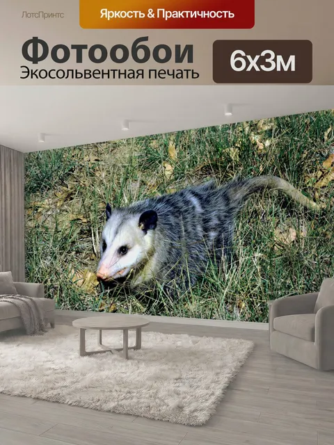 600 × 300 см · Экосольвентная печать