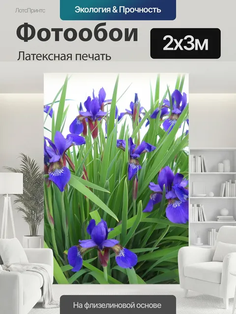 200 × 300 см · Латексная печать