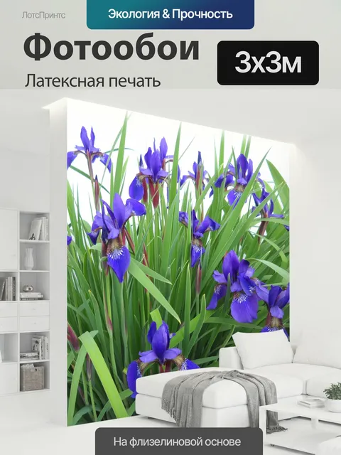 300 × 300 см · Латексная печать