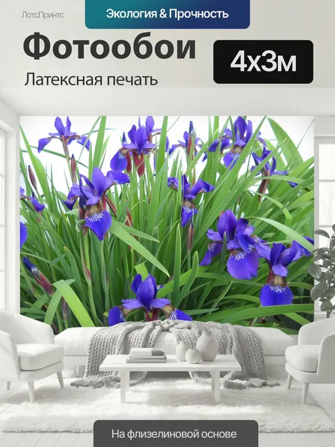 400 × 300 см · Латексная печать