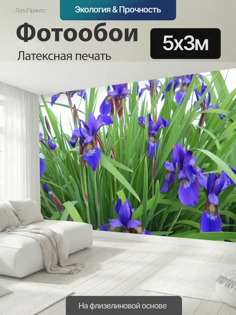 500 × 300 см · Латексная печать