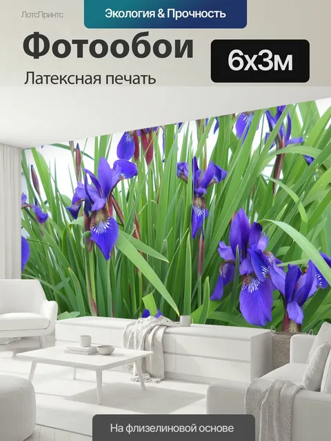 600 × 300 см · Латексная печать