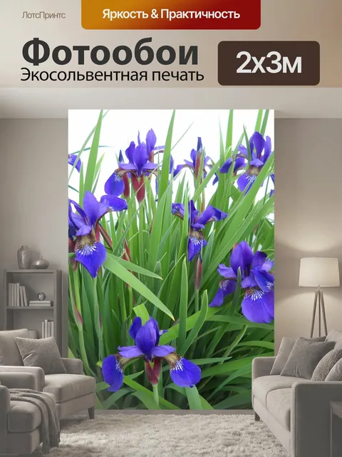 200 × 300 см · Экосольвентная печать