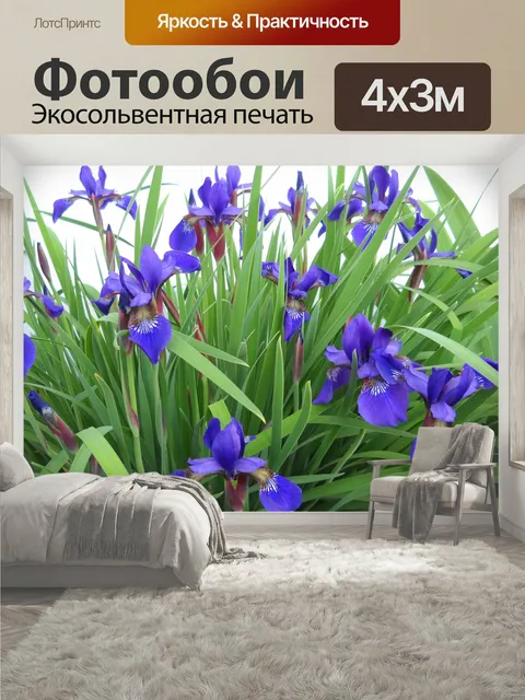 400 × 300 см · Экосольвентная печать