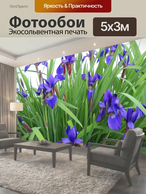 500 × 300 см · Экосольвентная печать
