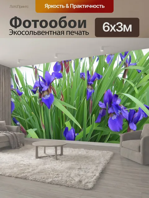600 × 300 см · Экосольвентная печать