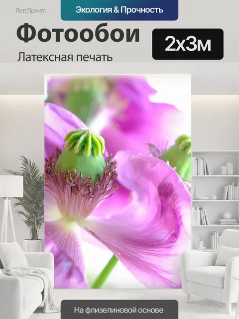 200 × 300 см · Латексная печать