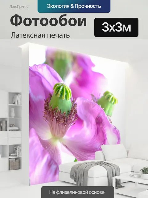 300 × 300 см · Латексная печать