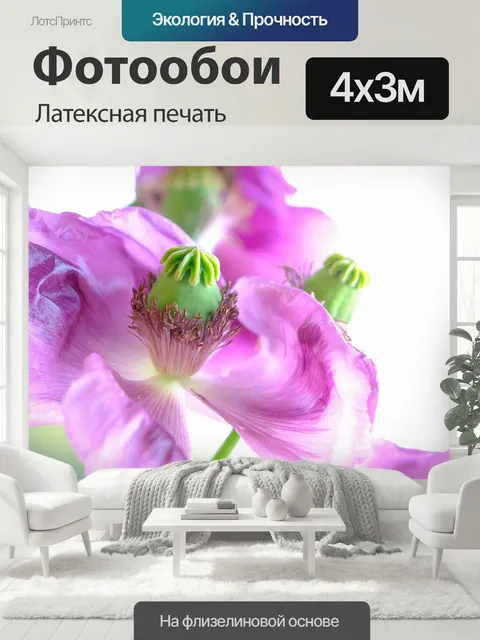 400 × 300 см · Латексная печать