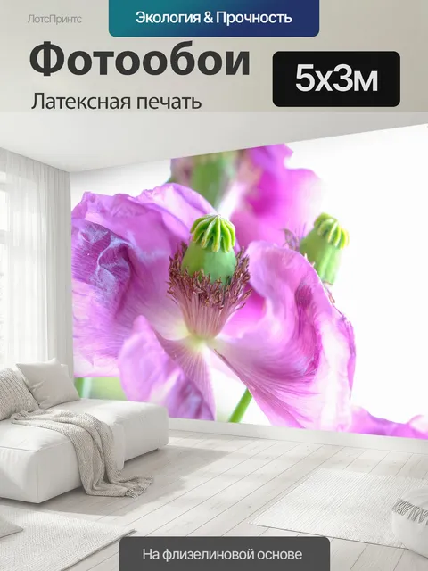500 × 300 см · Латексная печать