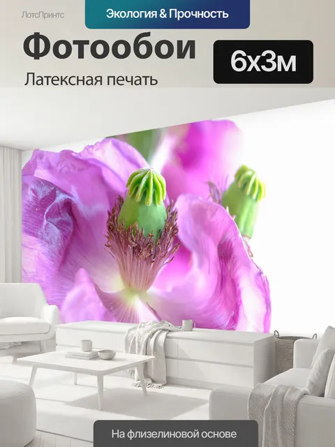 600 × 300 см · Латексная печать