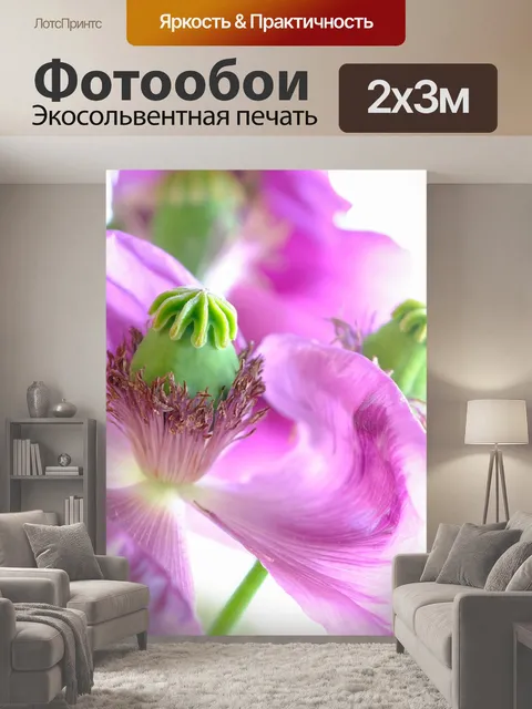 200 × 300 см · Экосольвентная печать