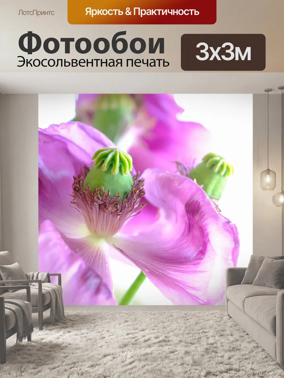 Фотообои Мак, цветок, завод