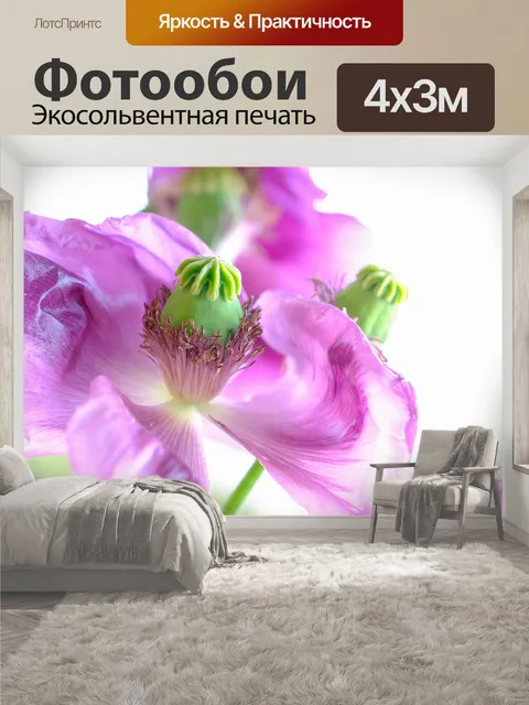 400 × 300 см · Экосольвентная печать