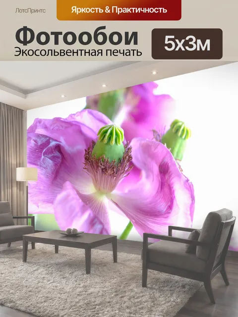 500 × 300 см · Экосольвентная печать