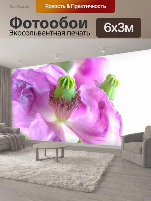 600 × 300 см · Экосольвентная печать