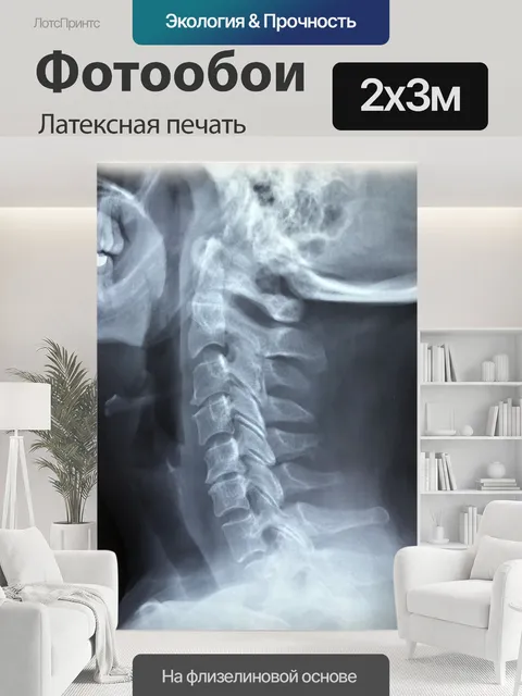 200 × 300 см · Латексная печать