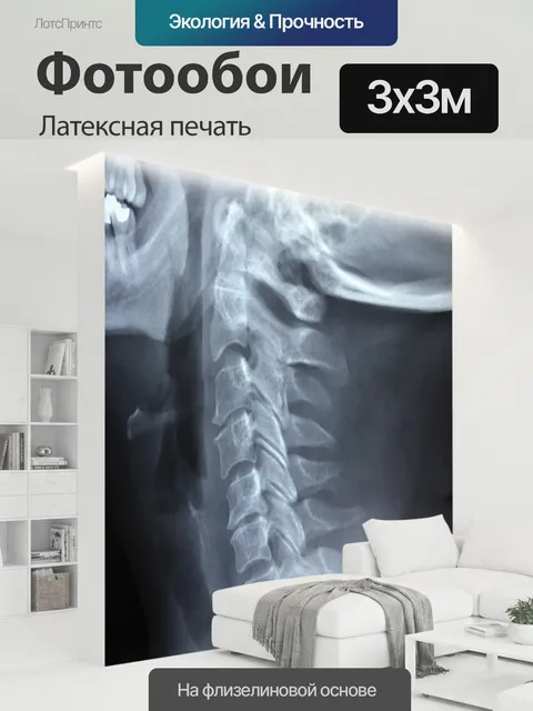 300 × 300 см · Латексная печать