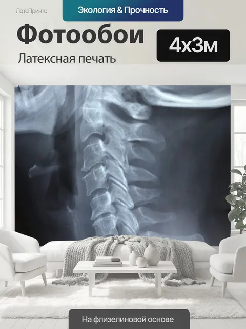 400 × 300 см · Латексная печать