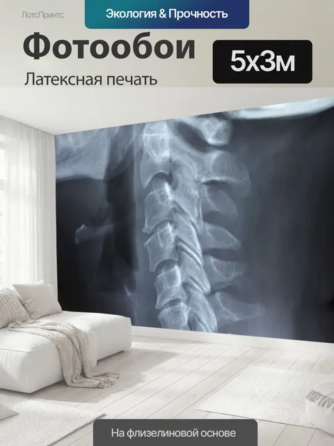 500 × 300 см · Латексная печать