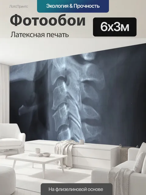 600 × 300 см · Латексная печать