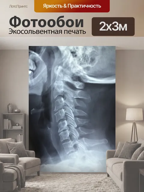 200 × 300 см · Экосольвентная печать