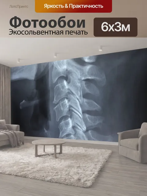 600 × 300 см · Экосольвентная печать