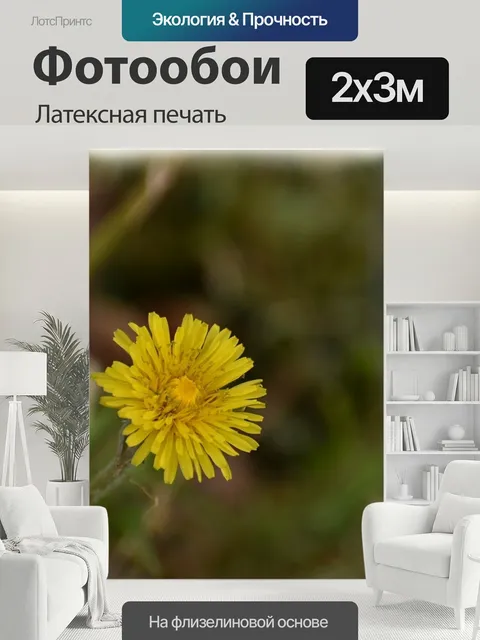 200 × 300 см · Латексная печать