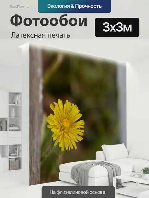 300 × 300 см · Латексная печать
