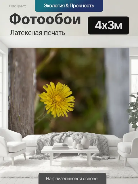 400 × 300 см · Латексная печать